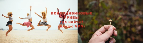 скорость mdpv Елизово