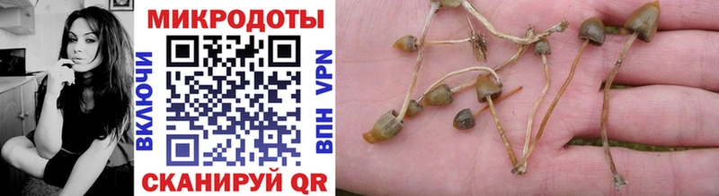 Купить закладки  Аша  Галлюциногенные грибы мухоморы 